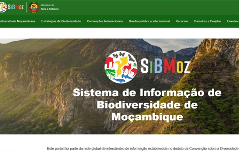 sibmoz website screenshot 2.JPG